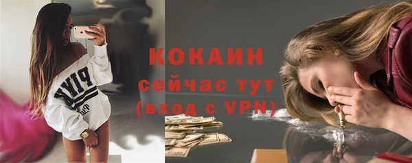 бошки Бородино