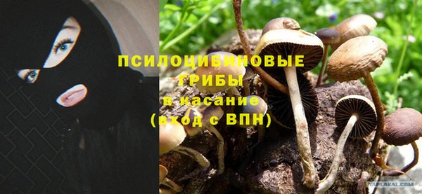 бошки Бородино