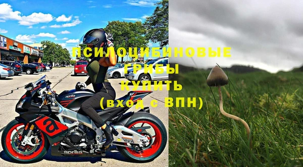 бошки Бородино