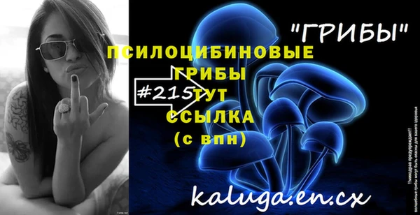 бошки Верея