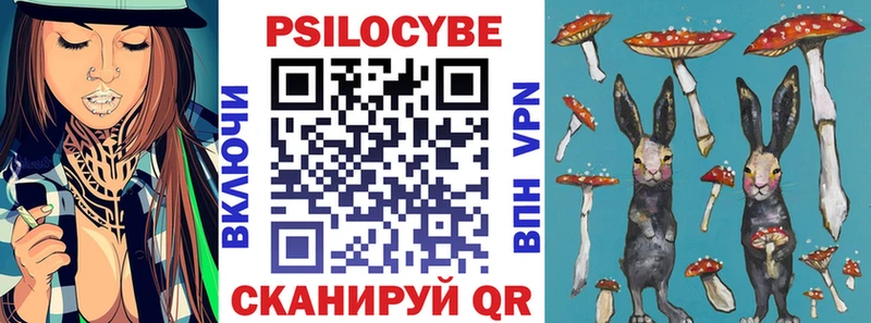 Псилоцибиновые грибы Psilocybine cubensis  Тольятти 